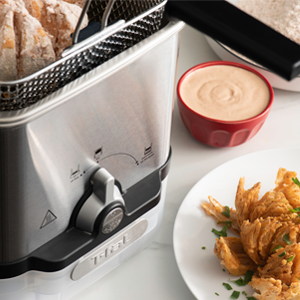 Friteuse T-fal Odour less - vos aliments frits favoris, sans les odeurs  persistantes de graisse!